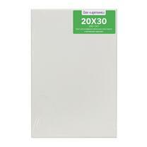 Без бренда «Коробка 80 шт.: Холст Две картинки на подрамнике 20X30» в Волгограде