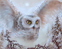 Без бренда «Полярная сова над лесом (20шт)» в Волгограде