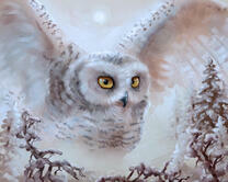 Без бренда «Полярная сова над лесом (20шт)» в Волгограде