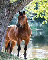 Без бренда «BOX20-2KMB-4594» в Волгограде