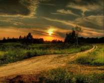 Без бренда «Проселочная дорога на закате» в Волгограде