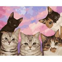 Без бренда «Такие разные котики» в Волгограде