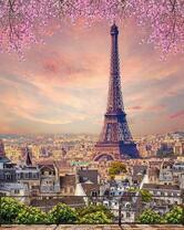 Вид на Эйфелеву башню с крыш