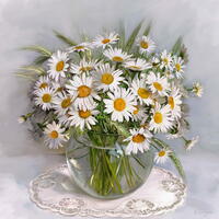 Без бренда «Букет свежих ромашек» в Волгограде