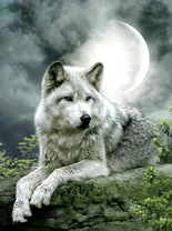 Без бренда «Коробка 25 шт. картин по номерам BOX25-GX21058» в Волгограде