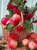 Без бренда «Коробка 25 шт. картин по номерам BOX25-GX5174» в Волгограде