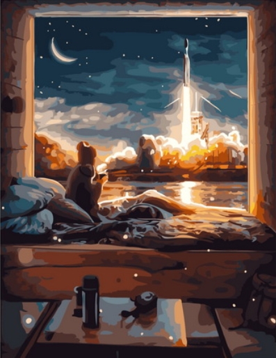 Картина по номерам 40x50 Девушка смотрит на запуск ракеты