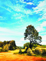 Без бренда «Осенний пейзаж с голубым небом» в Волгограде