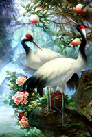 Без бренда «Коробка 25 шт. картин по номерам BOX25-GX29399» в Волгограде в интернет-магазине  Без бренда «Коробка 25 шт. картин по номерам BOX25-GX29399» в Волгограде