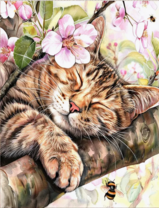 Без бренда «Волосатый котик спит на ветви яблони» в Волгограде в интернет-магазине  Без бренда «Волосатый котик спит на ветви яблони» в Волгограде